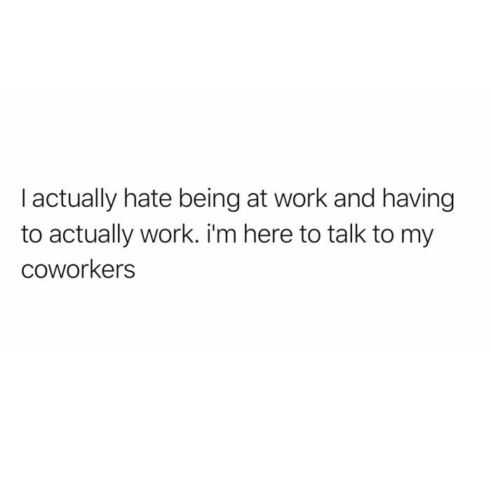Funny post satirizing corporate life: a text about hating work but liking to talk to coworkers.