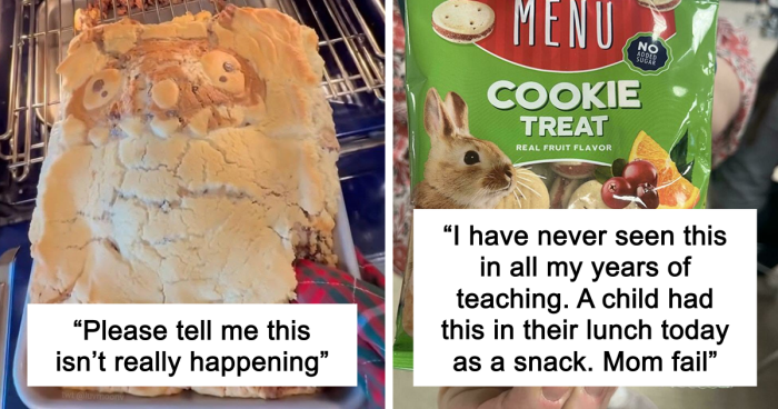 60 Funny Or Cringe Fails That People Needed To Share With The World (New Pics)