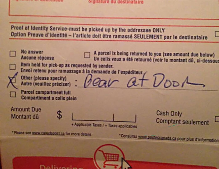 A delivery notice with the reason for non-delivery written as Bear at Door, a funny delivery fail.