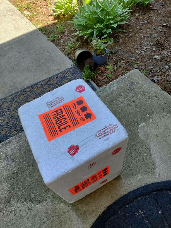 A white styrofoam box labeled FRAGILE and THIS END UP sits on a doorstep, placed upside down, showing a delivery fail.