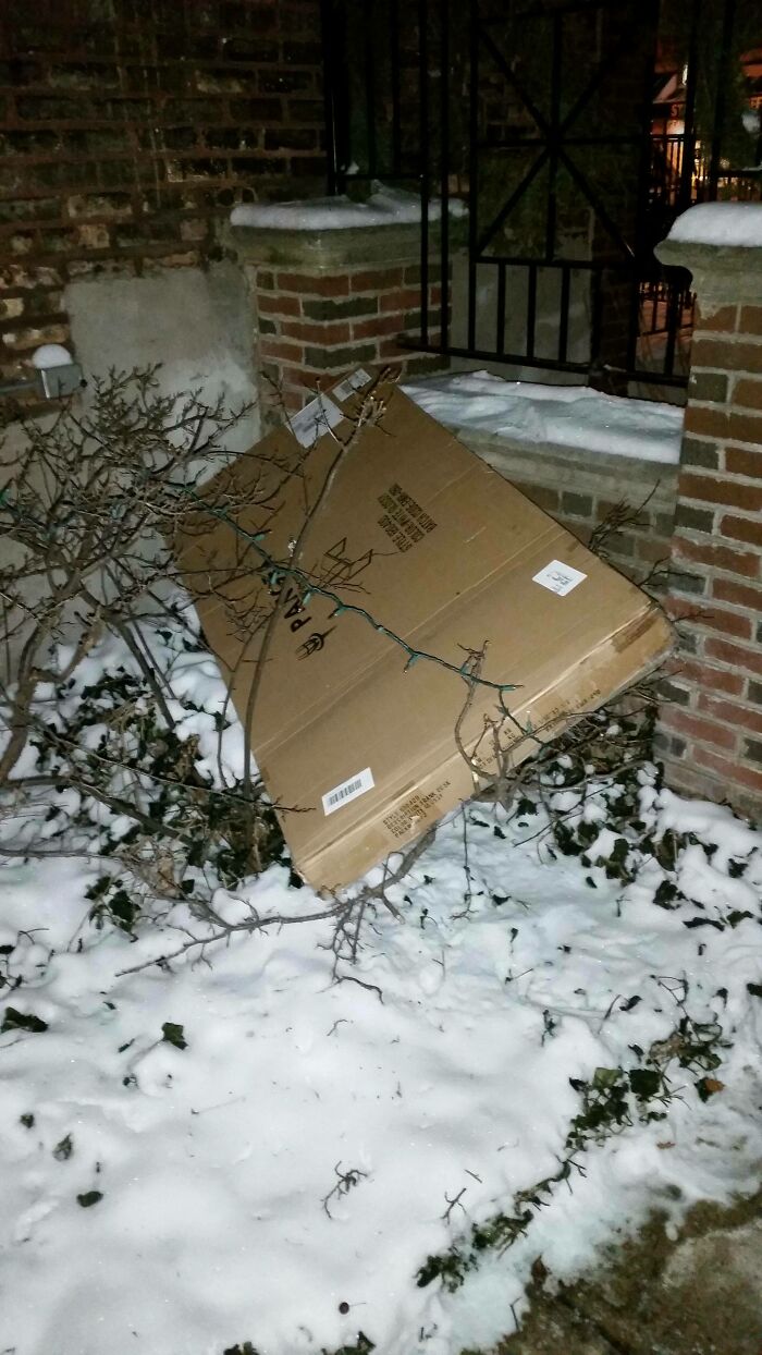 A large cardboard box with a delivery fail, left precariously on snowy bushes by a brick wall.