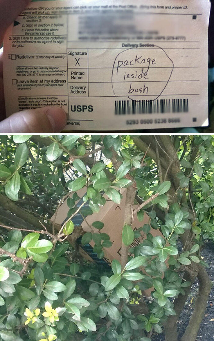 A delivery notice indicating a package is hidden inside a bush, illustrating a funny delivery fail.