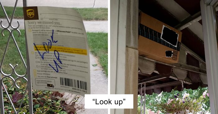 78 Times Delivery Fails Left People Speechless, Laughing, Or Crying