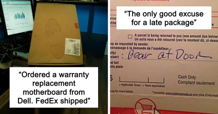 78 Times Delivery Fails Left People Speechless, Laughing, Or Crying