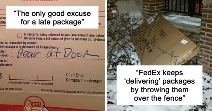 78 Times Delivery Fails Left People Speechless, Laughing, Or Crying