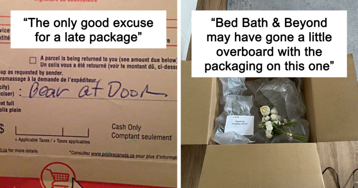 78 Times Delivery Fails Left People Speechless, Laughing, Or Crying