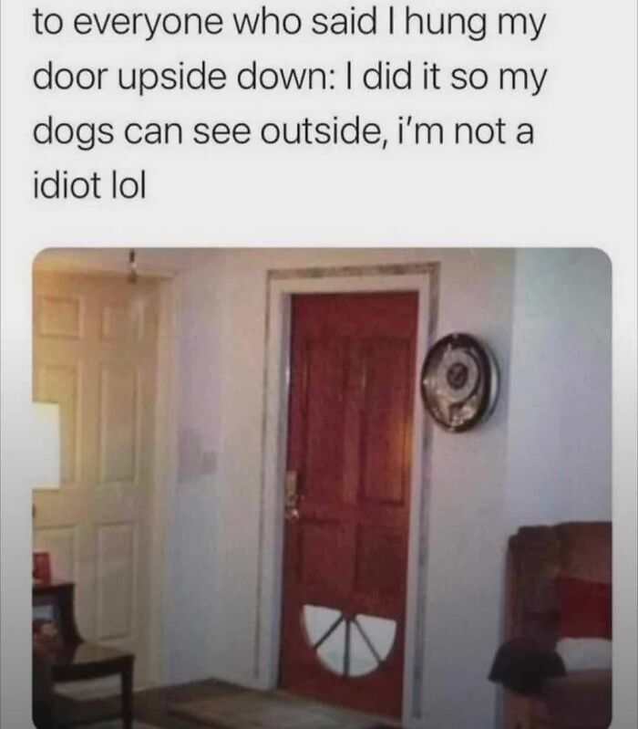 Door hung upside down with a pet door cut out for dogs to see outside humor