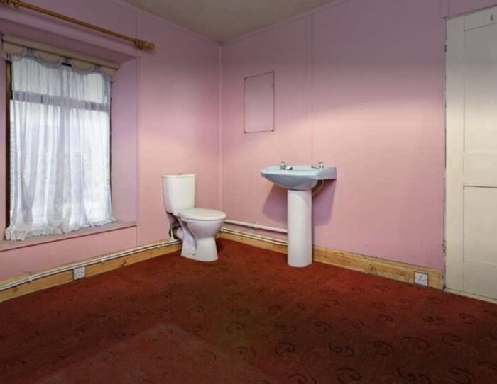 Bathroom design fail with toilet and sink installed on carpeted floor