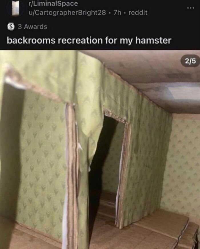 A hamster plays in a tiny, funny recreation of the backrooms, complete with cardboard walls.