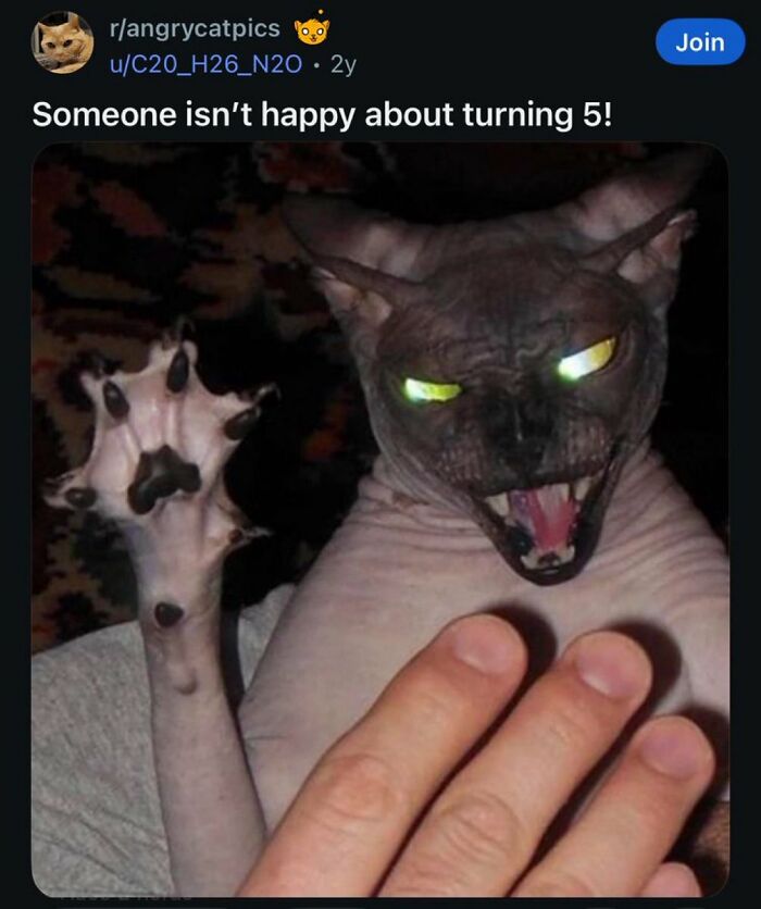 A funny, angry cat with glowing eyes and spread claws, looking unhappy about turning five.