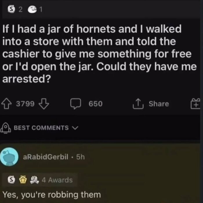 A funny post discussing a hypothetical scenario involving hornets and a store, with comments.