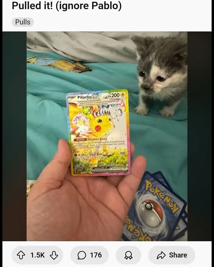 A tiny kitten next to a hand holding a Pikachu Pokemon card, providing a funny moment.