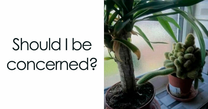 62 Random Posts You Might Find Funny If Your Sense Of Humor Is Broken