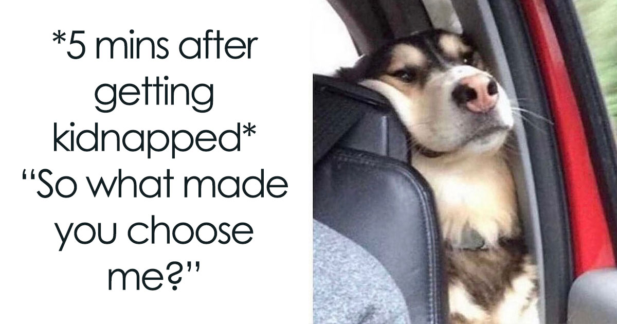 If You Needed Something To Laugh At Today, These 78 Random Memes Might Do The Job