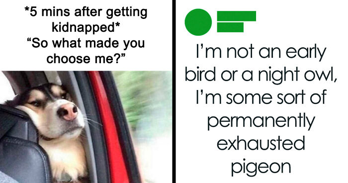 If You Needed Something To Laugh At Today, These 78 Random Memes Might Do The Job