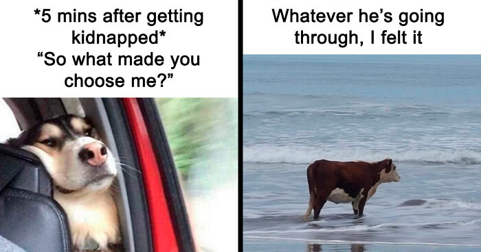 If You Needed Something To Laugh At Today, These 78 Random Memes Might Do The Job