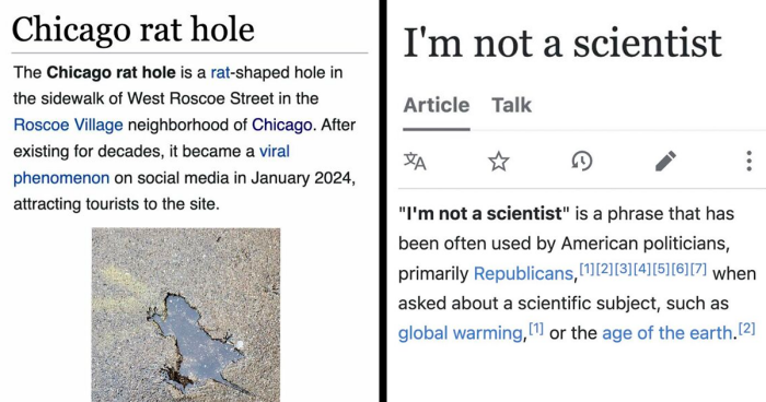82 Wikipedia Pages That Made People Go “Hmmmm”