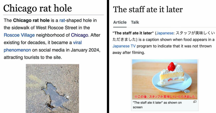 82 Wikipedia Pages That Made People Go “Hmmmm”