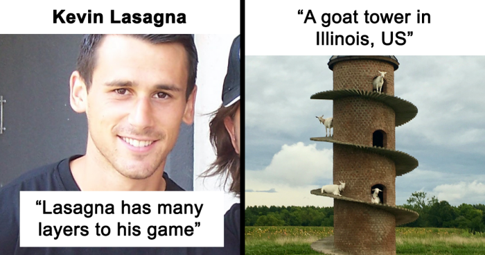 82 Wikipedia Pages That Made People Go “Hmmmm”