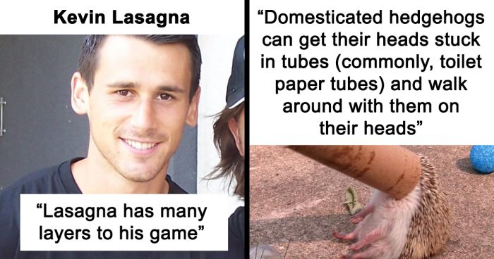 82 Wikipedia Pages That Made People Go “Hmmmm”