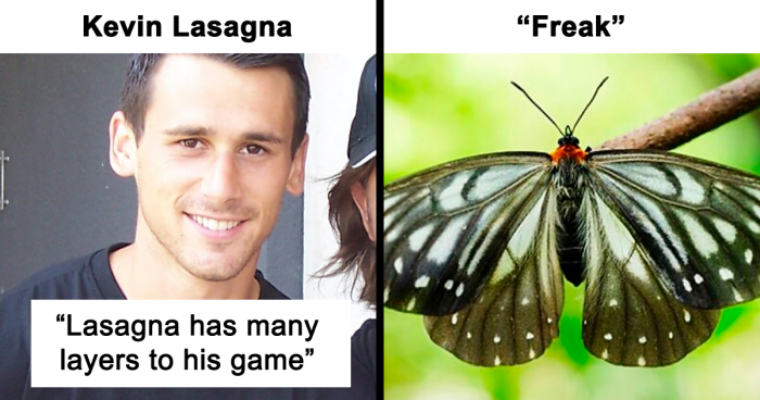 82 Wikipedia Pages That Made People Go “Hmmmm”