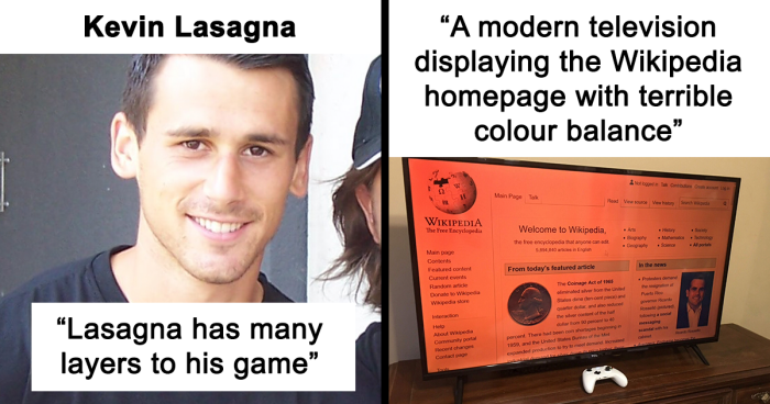 82 Wikipedia Pages That Made People Go “Hmmmm”