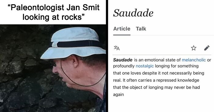 82 Wikipedia Pages That Made People Go “Hmmmm”