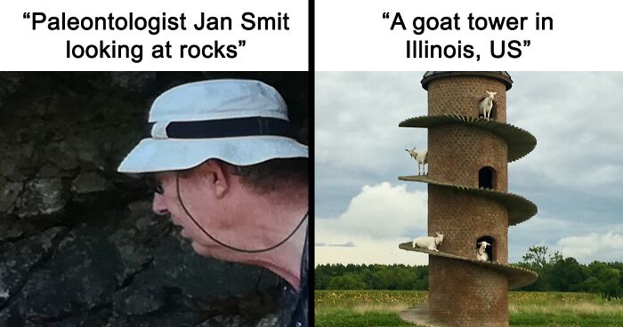82 Wikipedia Pages That Made People Go “Hmmmm”