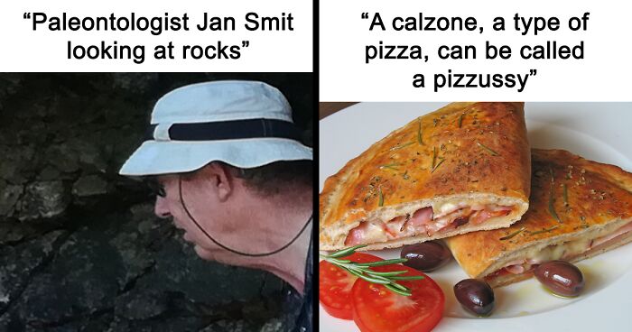 82 Wikipedia Pages That Made People Go “Hmmmm”