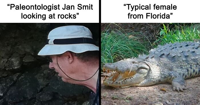 82 Wikipedia Pages That Made People Go “Hmmmm”