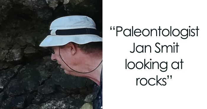 82 Wikipedia Pages That Made People Go “Hmmmm”