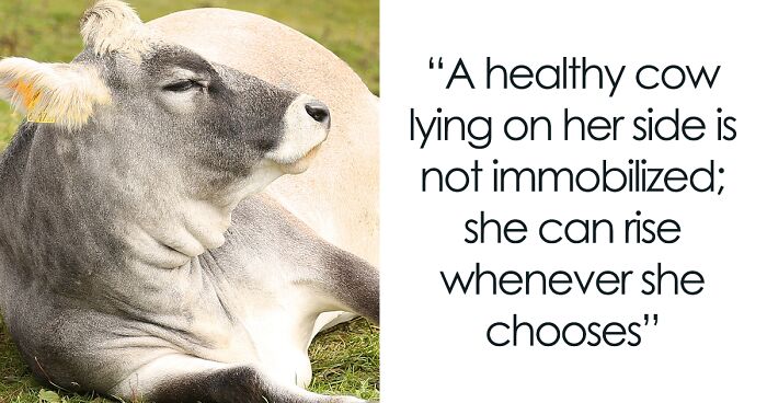 82 Wikipedia Pages That Made People Go “Hmmmm”