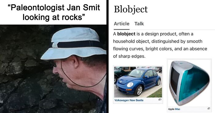 82 Wikipedia Pages That Made People Go “Hmmmm”