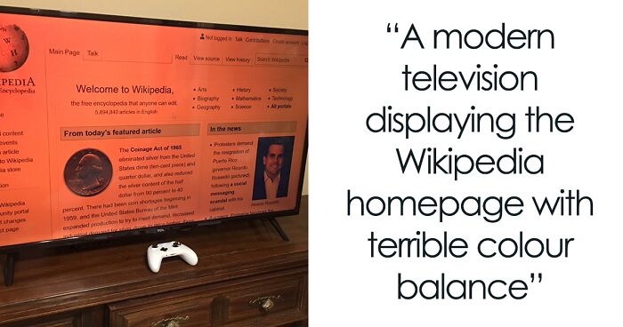 82 Wikipedia Pages That Made People Go “Hmmmm”
