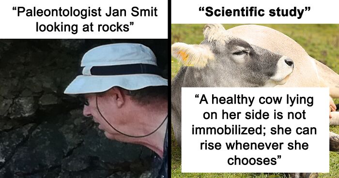 82 Wikipedia Pages That Made People Go “Hmmmm”
