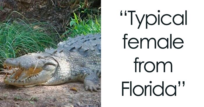 82 Wikipedia Pages That Made People Go “Hmmmm”
