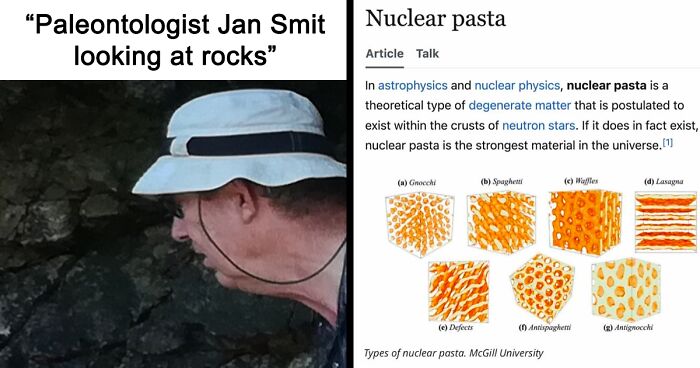 82 Wikipedia Pages That Made People Go “Hmmmm”