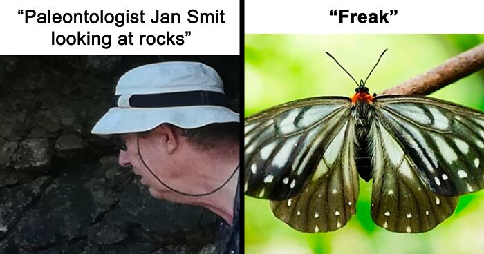 82 Wikipedia Pages That Made People Go “Hmmmm”