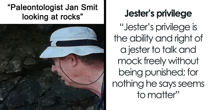 82 Wikipedia Pages That Made People Go “Hmmmm”