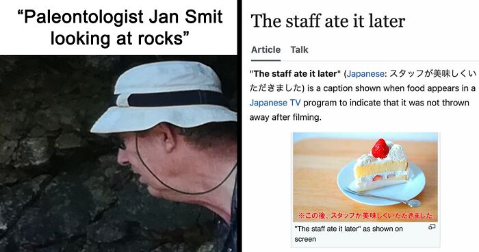 82 Wikipedia Pages That Made People Go “Hmmmm”