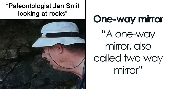 82 Wikipedia Pages That Made People Go “Hmmmm”
