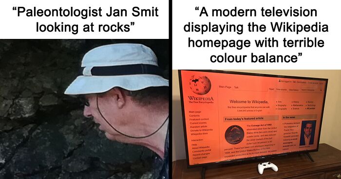 82 Wikipedia Pages That Made People Go “Hmmmm”