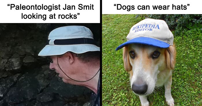82 Wikipedia Pages That Made People Go “Hmmmm”