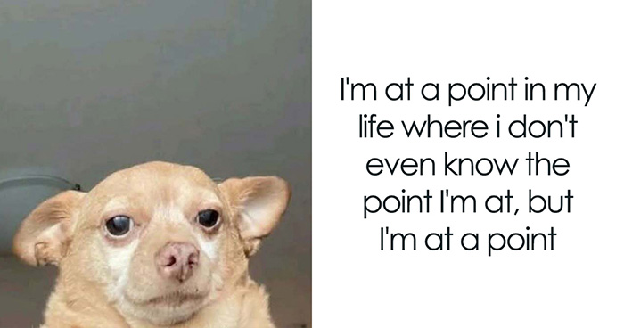 31 Hilarious Memes To Help You Stay Sane In This Crazy World