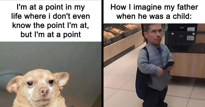 31 Hilarious Memes To Help You Stay Sane In This Crazy World