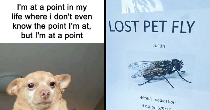 31 Hilarious Memes To Help You Stay Sane In This Crazy World