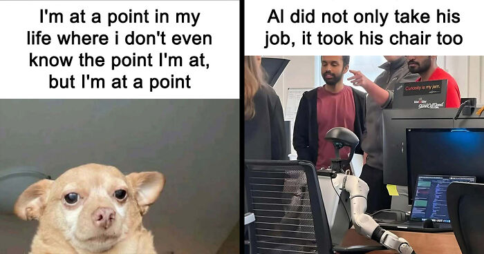 31 Hilarious Memes To Help You Stay Sane In This Crazy World