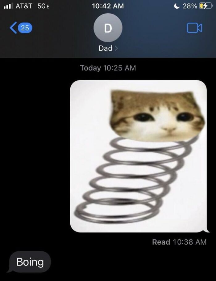 A savage comment of a cat's head on a spring with the word Boing below.