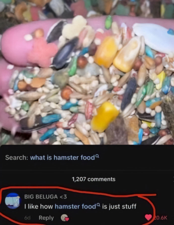 A close-up of hamster food with a savage comment from a user about its generic appearance.