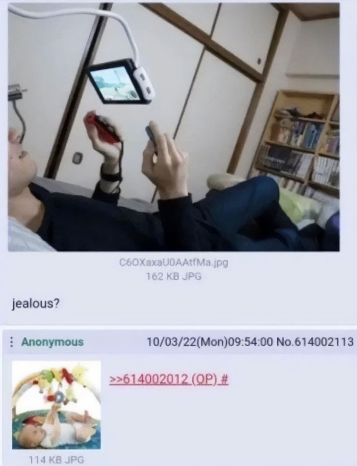 A person playing a Nintendo Switch while lying down, with a savage comment underneath asking, 'jealous?'